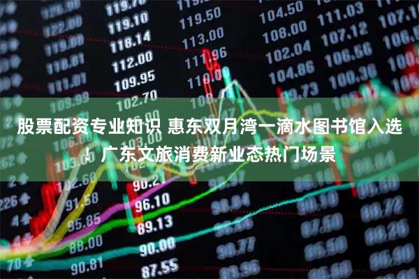 股票配资专业知识 惠东双月湾一滴水图书馆入选！广东文旅消费新业态热门场景